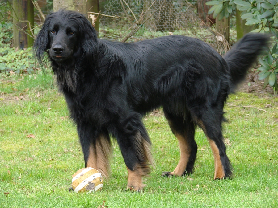 Amy mit Ball