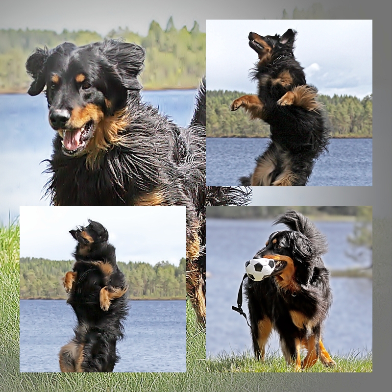 Ares Urlaubcollage