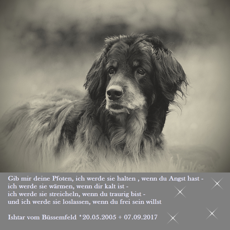 Ishtar Trauer Ishtar Trauer