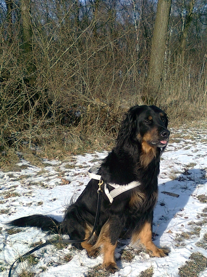 Ishtar im Schnee 1a