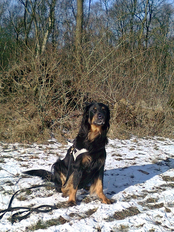 Ishtar im Schnee 3a