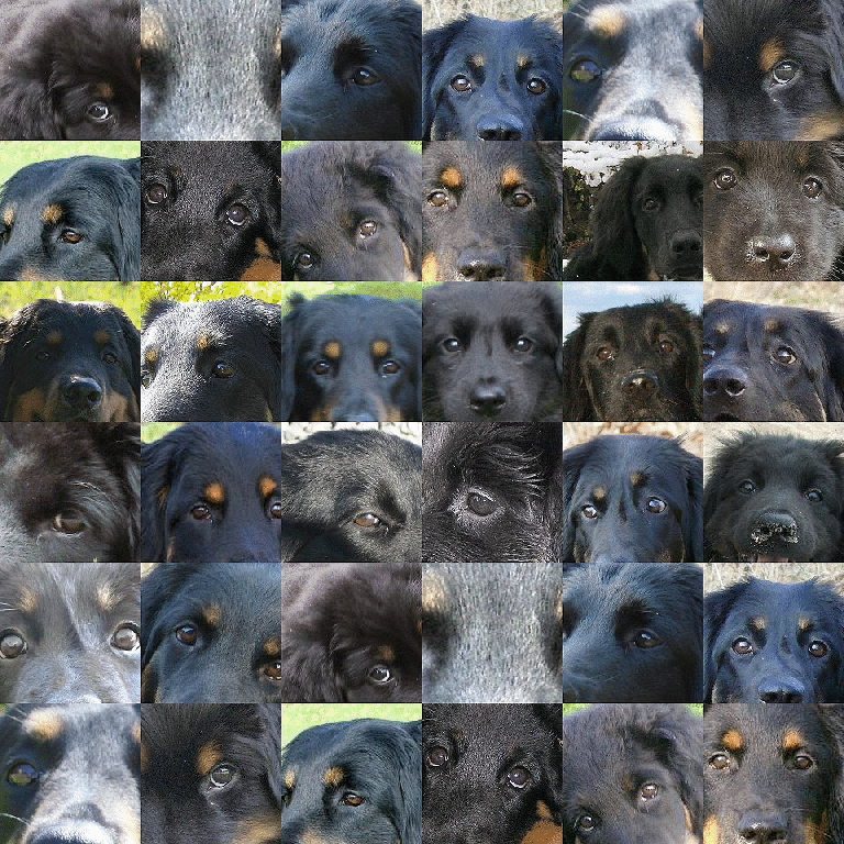 k-collageAugen