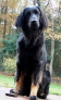 Neugierige Amy