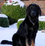 Amy im Schnee 09