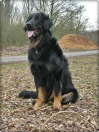 Andor hat Mamas Blick