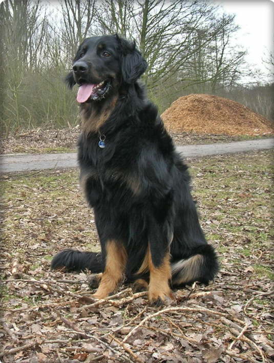 Andor hat Mamas Blick