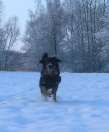 Andor im Schnee 1