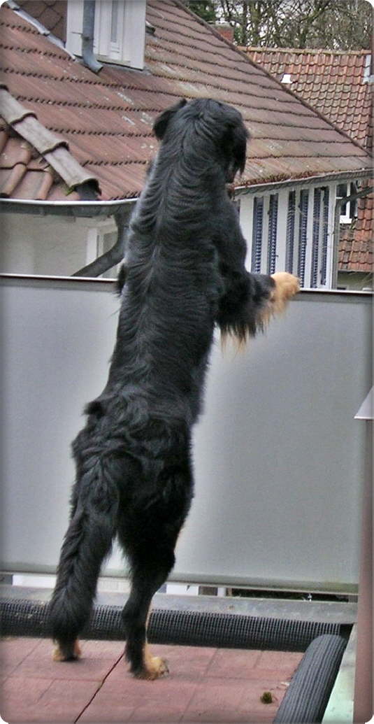Wer kommt zu Besuch?
