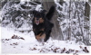 Ares im Anflug im Dezember 2010