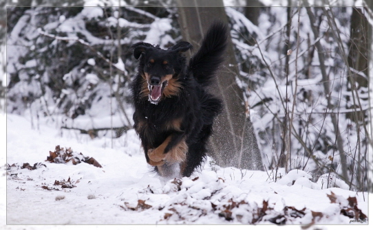 Ares im Anflug im Dezember 2010