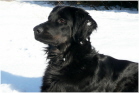 Arjana im Winter 2010