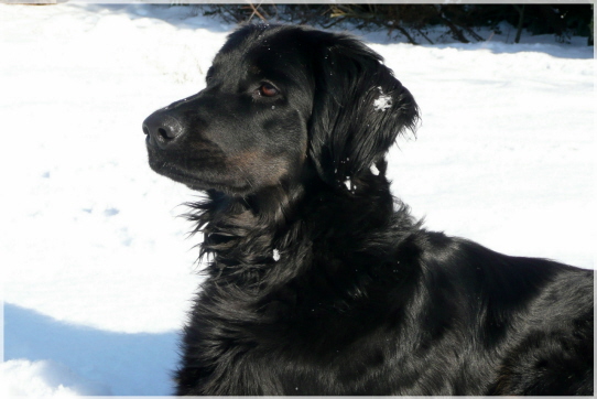 Arjana im Winter 2010