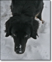 Aylas Blick 2010