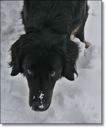 Aylas Blick 2010