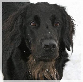 Aylas Kopf 2010