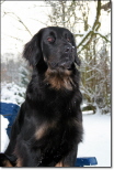 Ayla im Januar 2010