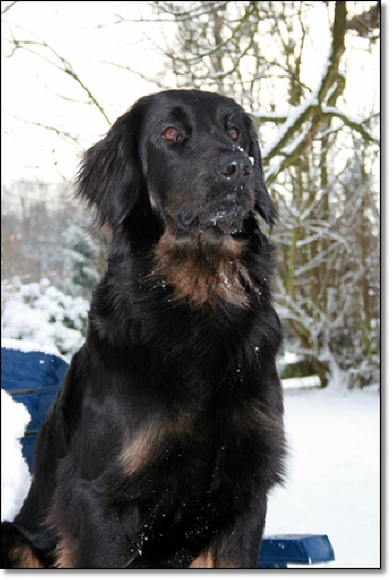 Ayla im Januar 2010