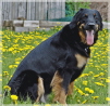 Aylin im L�wenzahn