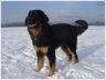 Barolo im Tiefschnee 