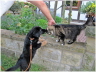 Beginn einer Freundschaft