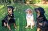 Herbst - Mama, Alexa und Bero