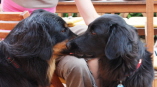 Ishtar mit Alani im Sommer 09