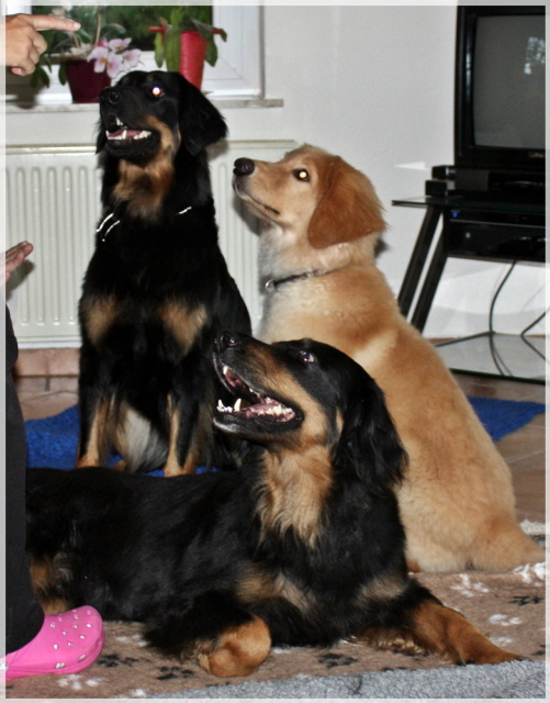 Ishtar mit Alexa u Bero