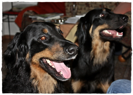 Ishtar und Alexa im Feb 2010