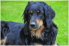 Ishtar �berwacht alles
