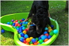 Ishtar und Sohn im B�llebad
