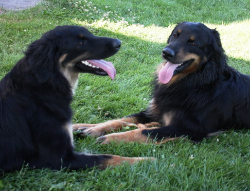 Aylin mit Ishtar