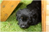 Meine H�hle