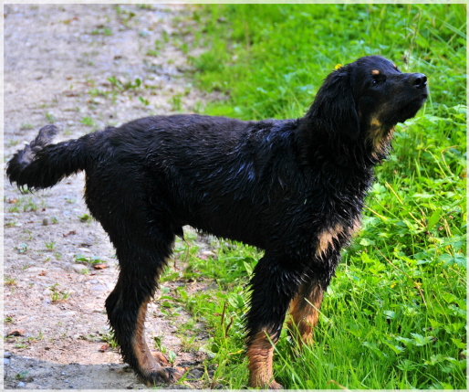 Nase in den Wind