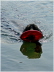 Schwimmwart