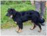 So sch�n bin ich schon I