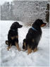 Vater und Sohn
