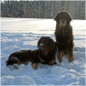 Vater und Sohn I