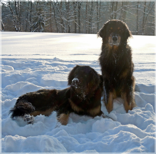 Vater und Sohn I