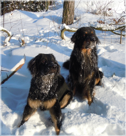 Vater und Sohn II