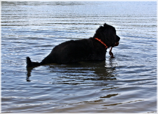 Wasser macht doch Spa�