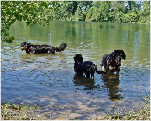 Wasserfreunde