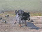 Wasserwart Andor