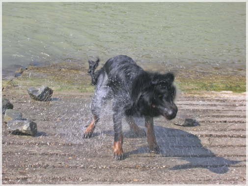 Wasserwart Andor
