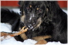 Winter macht Spa�