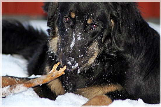 Winter macht Spa�
