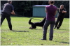 ZTP der Po st�rt im Bild