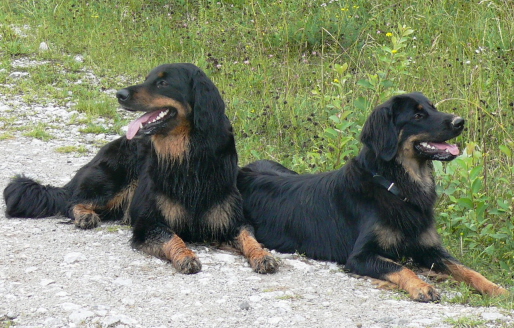 Alexa mit Ishtar Juli09