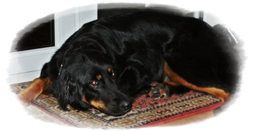 Alexa Weihnachten 2009