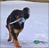 Lachende Aylin im Schnee