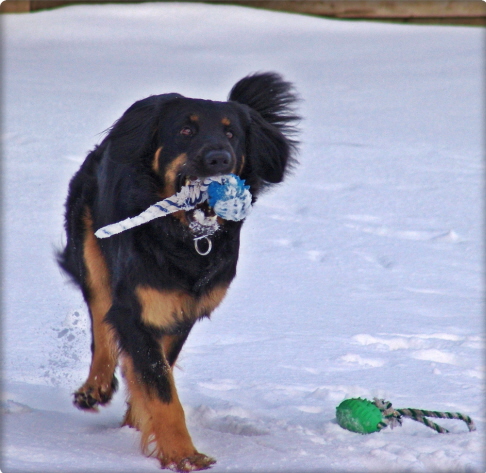 Lachende Aylin im Schnee